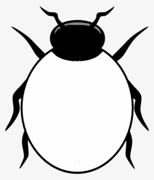 Ladybug Clip Art - Black And White Drawing Of A Bug