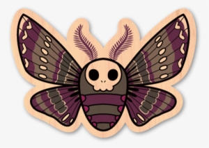 Skull Moth - Moth