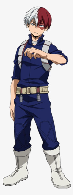 Shoto Todoroki Hero Profile 2 - My Hero Academia Todoroki Hero Costume
