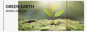 Green Earth - Tree