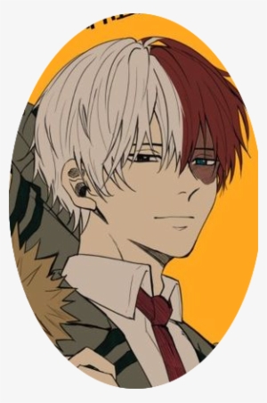 Todoroki Bnha - Cartoon