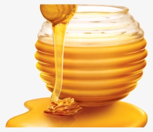 Free On Dumielauxepices Net - Honey Png