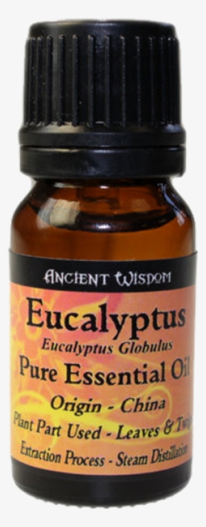 Eucalyptus Essential Oil - Ancient Wisdom Spikenard Essential Oil