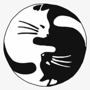 Png Cat Yin Yang Transparent Png 640x480 Free Download On Nicepng - yin yang yin yang yin yang yin yang yin yang roblox