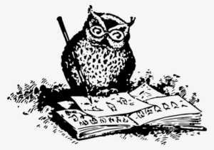 Black And White Owl What To Draw And How To Draw It - Owl Png