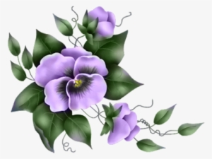 pansies purple - pansies flower transparent png