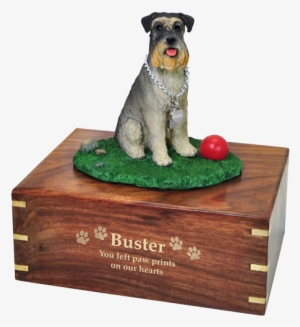 Schnauzer On Grass With Ball Dog Urn Engraved With - Memorial Urns
