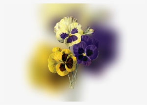 Color Palette Ideas From Flower Flowering Plant Pansy - Vintage Blumepansy-uhr Große Wanduhr