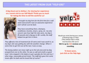 16-yelp - - Cimarrón Uruguayo