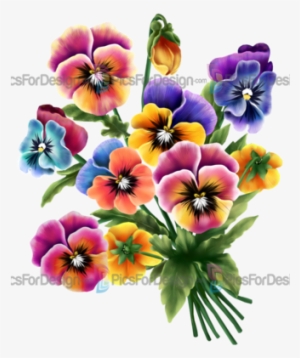 bouquets of pansies - Лилии И Тюльпаны
