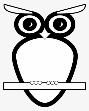 Bw Owl Black White Line Art 999px 43 - Owl