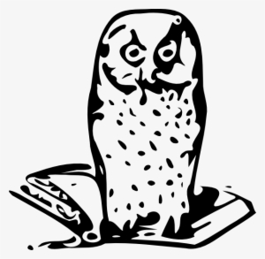 Original Png Clip Art File Owl On Book Svg Images Downloading