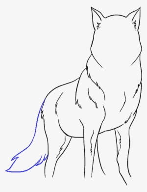 How To Draw Wolf - Drawing