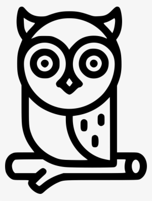 Owl Comments - Icon
