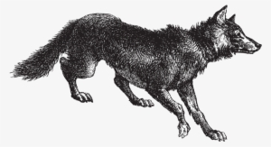 Wolf-graphic