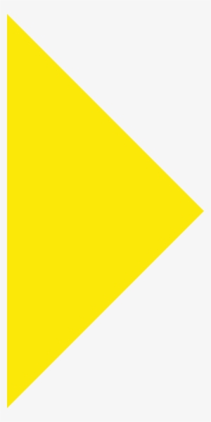 Black Flag With Yellow Triangle