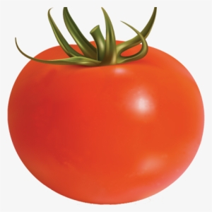 Tomato - Bob The Tomato Dead