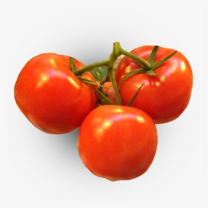 Cea-tomato1 - Plum Tomato