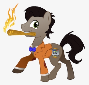 Doctor Who, Doctor Whooves, Earth Pony, Eleventh Doctor, - Torch