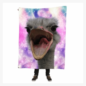 Ostrich Throw Blanket - Real Bird With Teeth