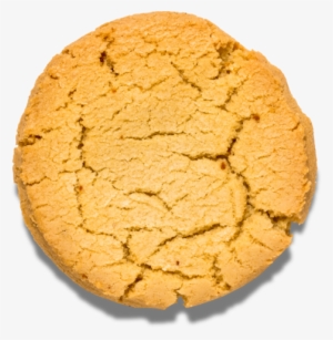 Sugar Cookie Png Nomoo Cookies - Ginger Snap