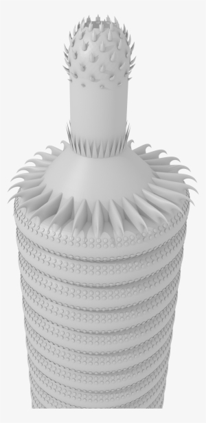 Scathascolex Anterior Reconstruction - Vase