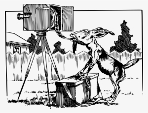 This Free Icons Png Design Of Goat Eats Film From Camera