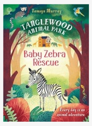 Last Item - Baby Zebra Rescue (tanglewood Animal Park)