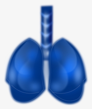 Lung Cancer Respiratory Disease Respiratory System - Lung