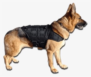 Http - //d3vs2spvv1as9b - Cloudfront - M - Large Tactical Dog Vest