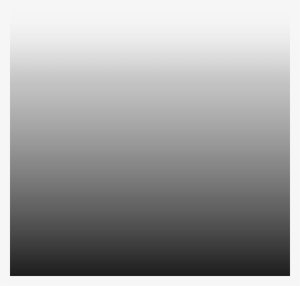 Bottom Gradient Background - Color Fade Black To White Transparent PNG -  500x478 - Free Download on NicePNG