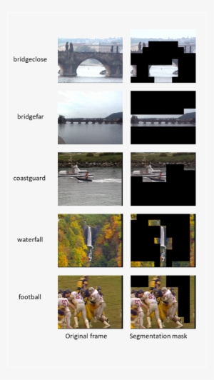 Texture Segmentation Examples - Collage