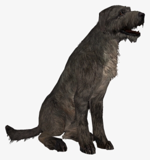 Skyrim Dog Png