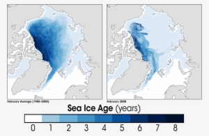 Arctic Sea Ice Age2008 - Average Arctic Sea Ice Age