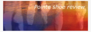 Pointe Shoe Review - Photo Caption
