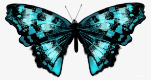Butterfly Net Clipart - Яркие Бабочки Png