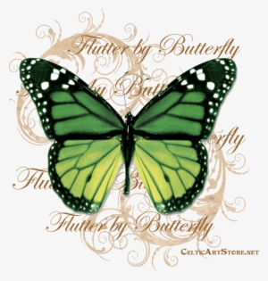 Butterflies & Dragonflies Tagged "butterfly" Celtic - Green Butterfly