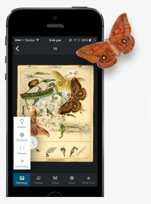 App Features - Emperor Moth, Opodiphthera Eucalypti