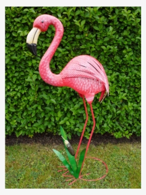 Metal Pink Flamingo Indoor Outdoor Pond Garden Ornament - Garden Ornament