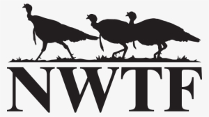 Welcome To The National Wild Turkey Federation - National Wildlife Turkey Federation