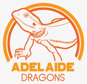 Inspiration - Lizard