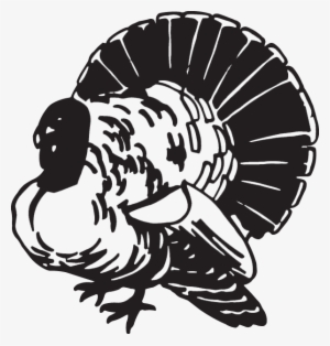 Decal