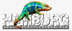 Hamburg Reptile Show