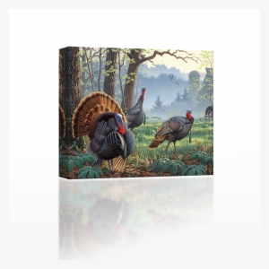 Wild Turkeys - Wild Turkey Paintings