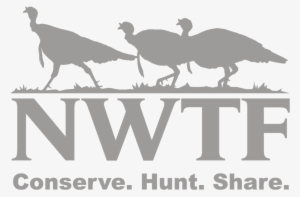 Download Outdoor Recreational Company Of America 20 - National Wildlife Turkey Federation