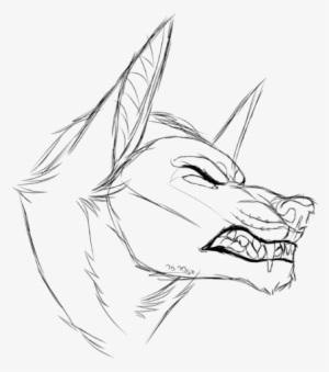 Angry Wolf Linelart Not Free To Use Without Permissionn - Sketch