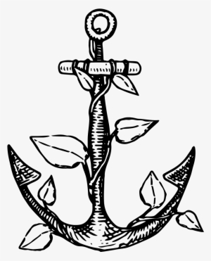Anchor Roots