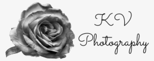 Kyani Vullings - Kv Photography Logo Png