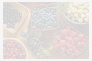 Products - Bonbon