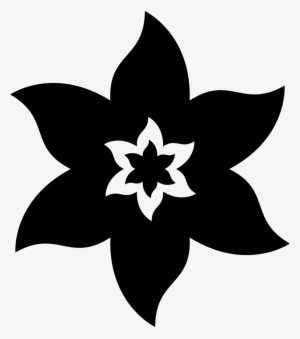 Star-shaped Flower Comments - Flor Forma De Estrella